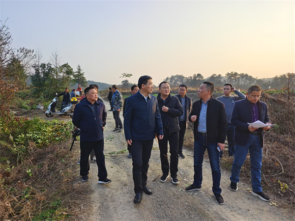 12月4日，集團領(lǐng)導(dǎo)陪同王奇勇縣長一行調(diào)研新管苗圃.jpg