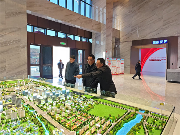 12月17日，洪董陪同汪凱書(shū)記調(diào)研富豐新城.jpg