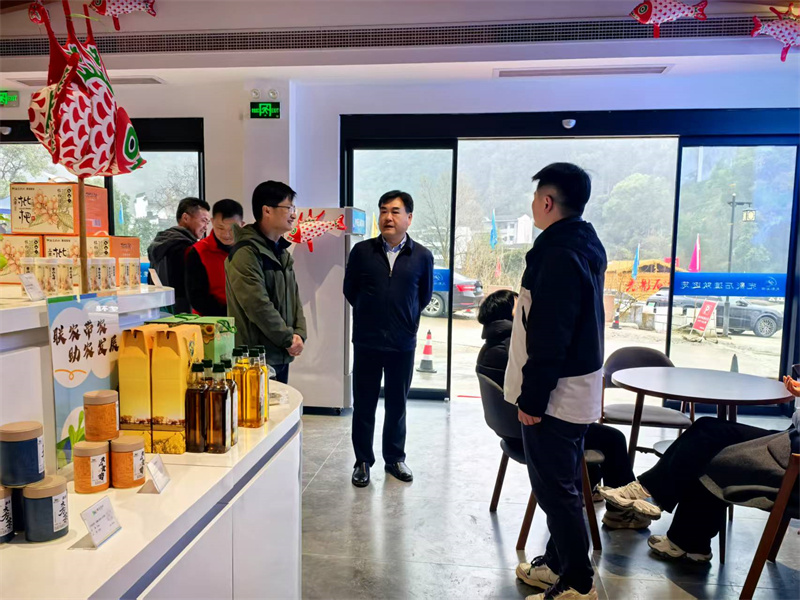 3月9日，縣人大常委會吳主任到石潭游客服務中心指導項目建設和運營工作。.jpg
