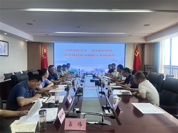 6月18日，歙縣供電公司總經(jīng)理張杰帶隊(duì)赴集團(tuán)就重點(diǎn)項(xiàng)目電力保障工作進(jìn)行座談交流，洪董、潘總、余總、張總，市政、逸寧等單位參加座談。.jpg