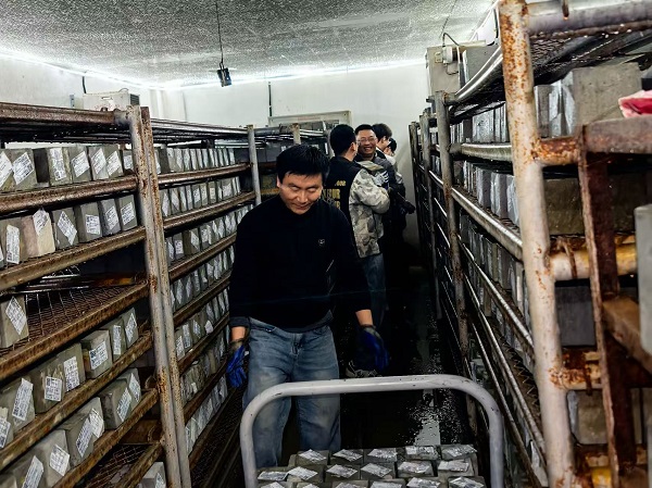 質(zhì)檢公司團(tuán)結(jié)協(xié)作 - 副本.jpg