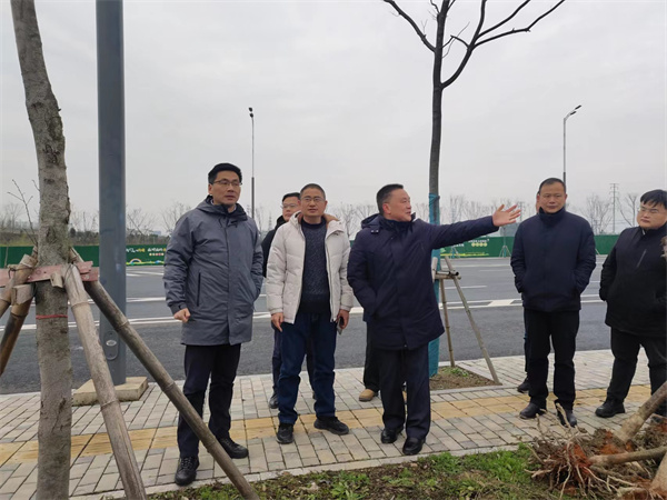 2月14日，洪董陪同王奇勇縣長一行督導(dǎo)衛(wèi)拍地塊.jpg